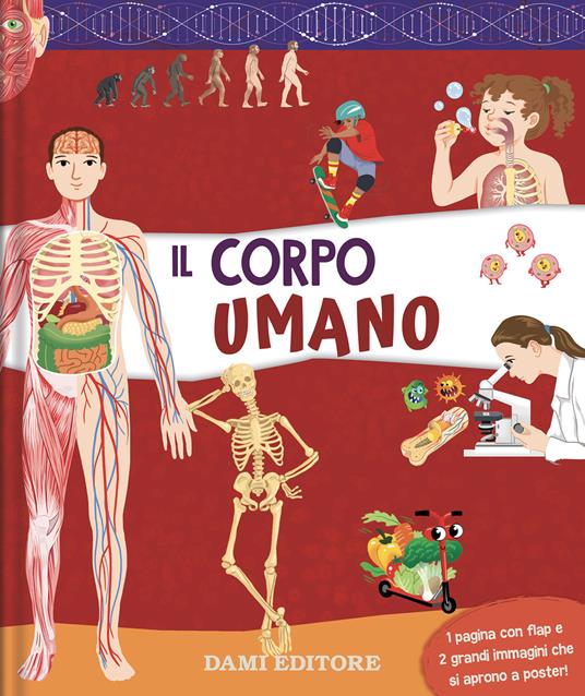 Il corpo umano. Ediz. a colori - copertina