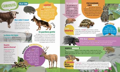 Amici animali. Mondo animale. Con adesivi. Ediz. a colori - Anna Casalis - 2