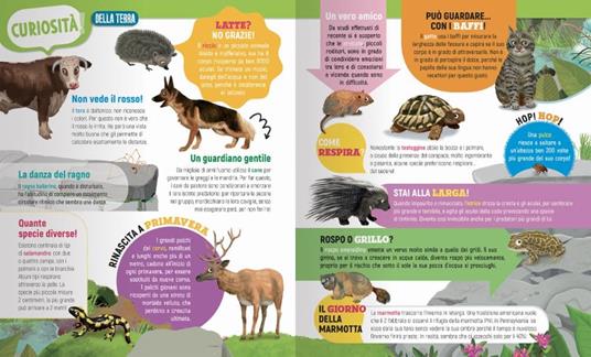 Amici animali. Mondo animale. Con adesivi. Ediz. a colori - Anna Casalis - 2