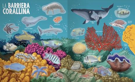 Animali dei mari, fiumi e laghi. Mondo animale. Con adesivi. Ediz. a colori - Anna Casalis - 3