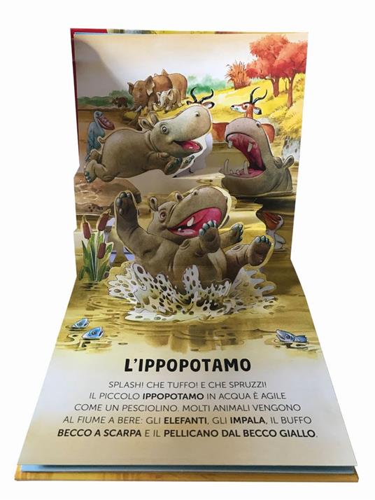 Animali selvaggi. Libro pop-up. Ediz. a colori - Anna Casalis - 3