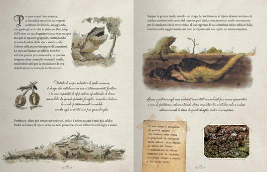 Draghi. Una guida ai 12 guardiani della natura. Ediz. a colori. Con 40 Carte - Francesco Musiani,Fiore Fiorini - 3