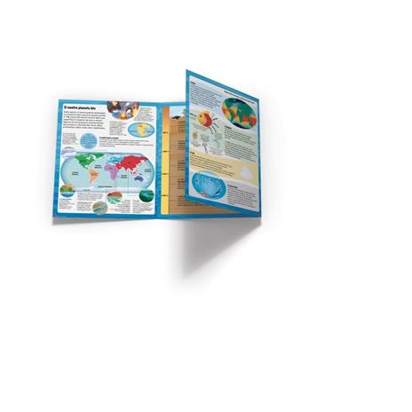 Mari e oceani. Sopra e sotto. Ediz. a colori - 3