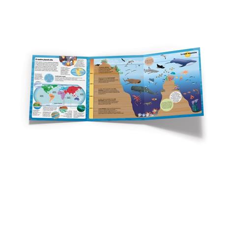 Mari e oceani. Sopra e sotto. Ediz. a colori - 4