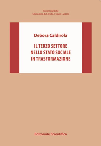 Il Terzo settore nello Stato sociale in trasformazione - Debora Caldirola - copertina
