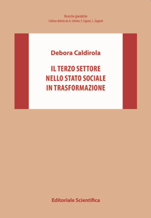 Il Terzo settore nello Stato sociale in trasformazione - Debora Caldirola - copertina
