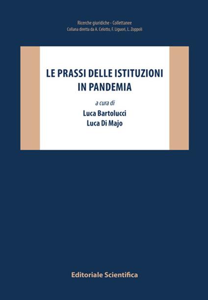 Le prassi delle istituzioni in pandemia - copertina