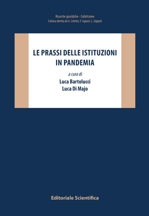 Le prassi delle istituzioni in pandemia - copertina