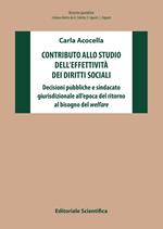 Contributo allo studio dell'effettività dei diritti sociali. Decisioni pubbliche e sindacato giurisdizionale all'epoca del ritorno al bisogno del welfare
