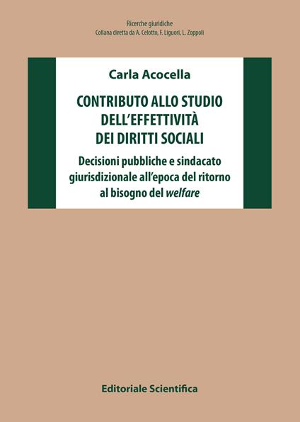 Contributo allo studio dell'effettività dei diritti sociali. Decisioni pubbliche e sindacato giurisdizionale all'epoca del ritorno al bisogno del welfare - Carla Acocella - copertina