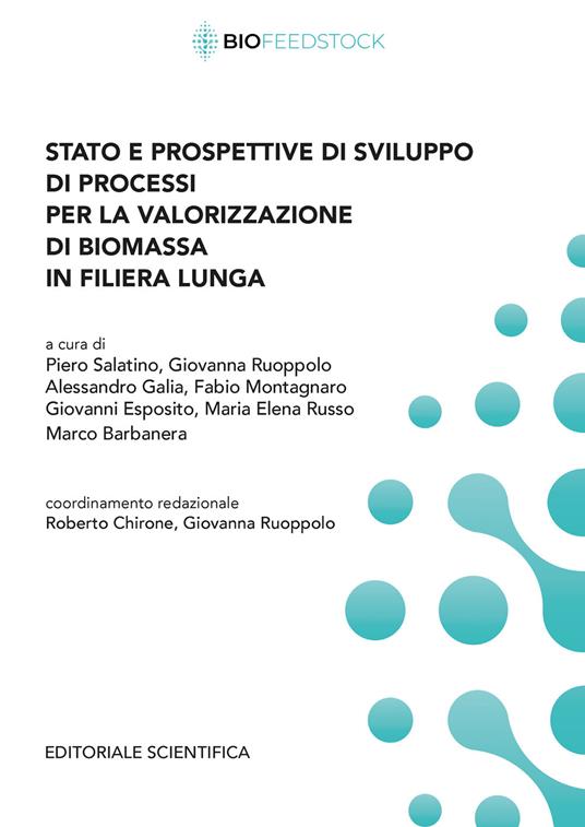 Stato e prospettive di sviluppo di processi per la valorizzazione di biomassa in filiera lunga - copertina