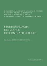 Studi sui principi del Codice dei contratti pubblici