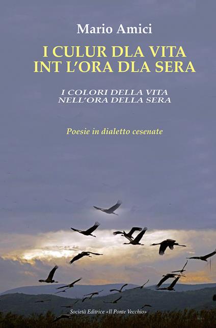 I culur dla vita int l'ora dla sera-I colori della vita nell'ora della sera. Poesie in dialetto cesenate - Mario Amici - copertina