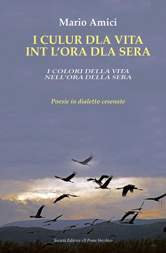 I culur dla vita int l'ora dla sera-I colori della vita nell'ora della sera. Poesie in dialetto cesenate - Mario Amici - copertina