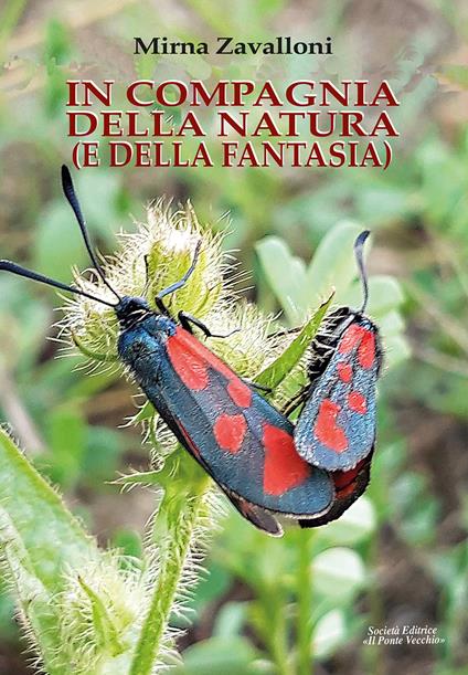 In compagnia della natura (e della fantasia). Ediz. illustrata - Mirva Zavalloni - copertina