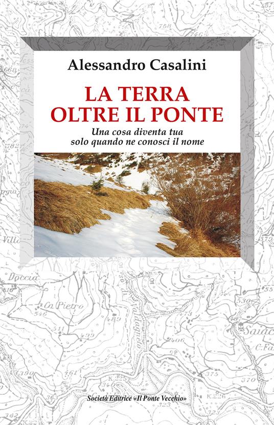La terra oltre il ponte. Una cosa diventa tua solo quando ne conosci il nome - Alessandro Casalini - copertina