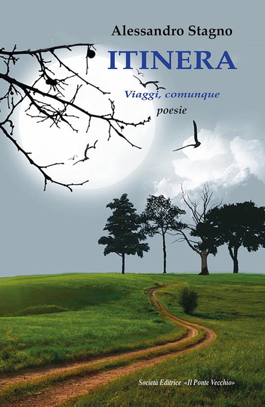 Itinera. Viaggi, comunque - Alessandro Stagno - copertina