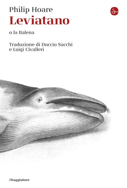 Leviatano - Philip Hoare,Duccio Civalleri,Duccio Sacchi - ebook