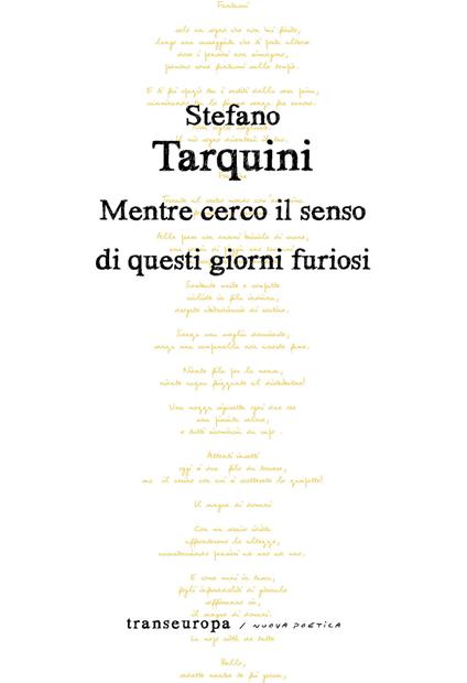 I giorni furiosi - Stefano Tarquini - copertina