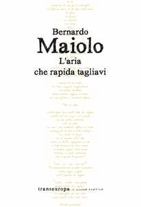 L'aria che rapida tagliavi