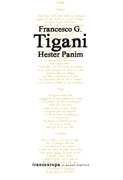 Hester Panim - Francesco G. Tigani - copertina
