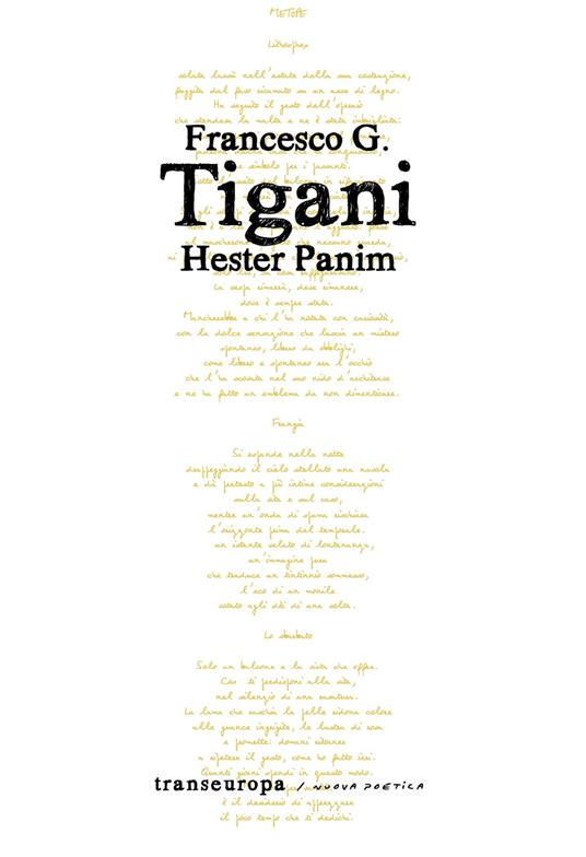 Hester Panim - Francesco G. Tigani - copertina
