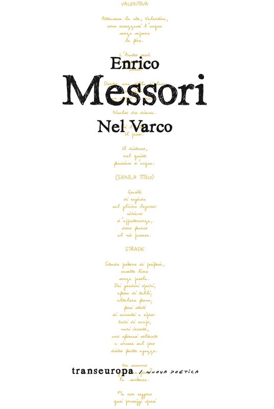 Nel varco - Enrico Messori - copertina