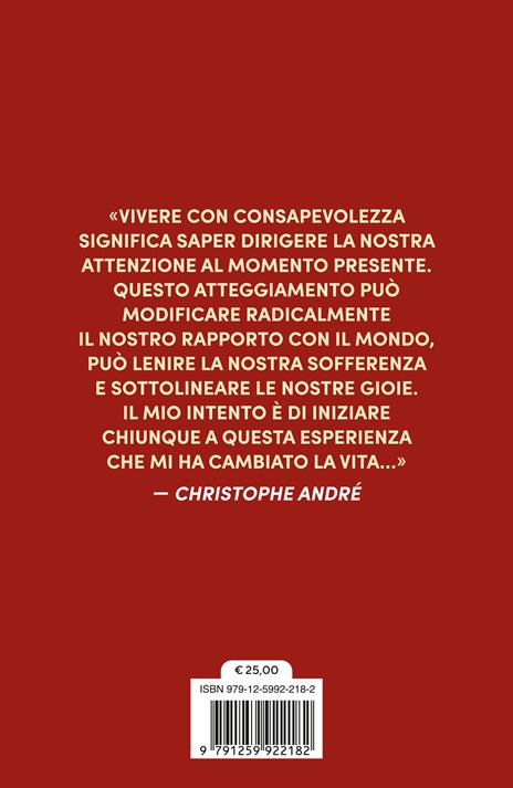 Dell'arte della meditazione. 25 quadri, 25 modi per imparare a vivere con consapevolezza - Christophe André - 2