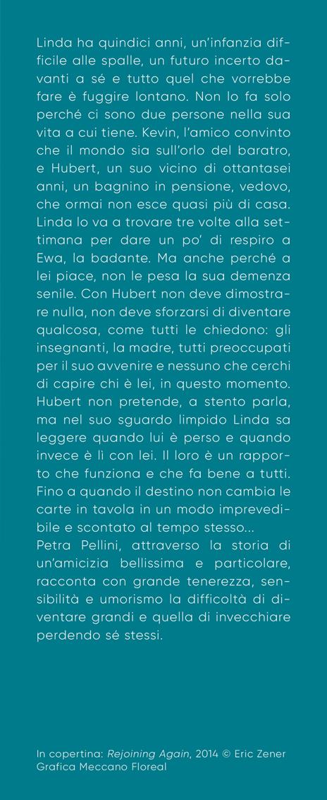 Quando scompare il cielo - Petra Pellini - 4