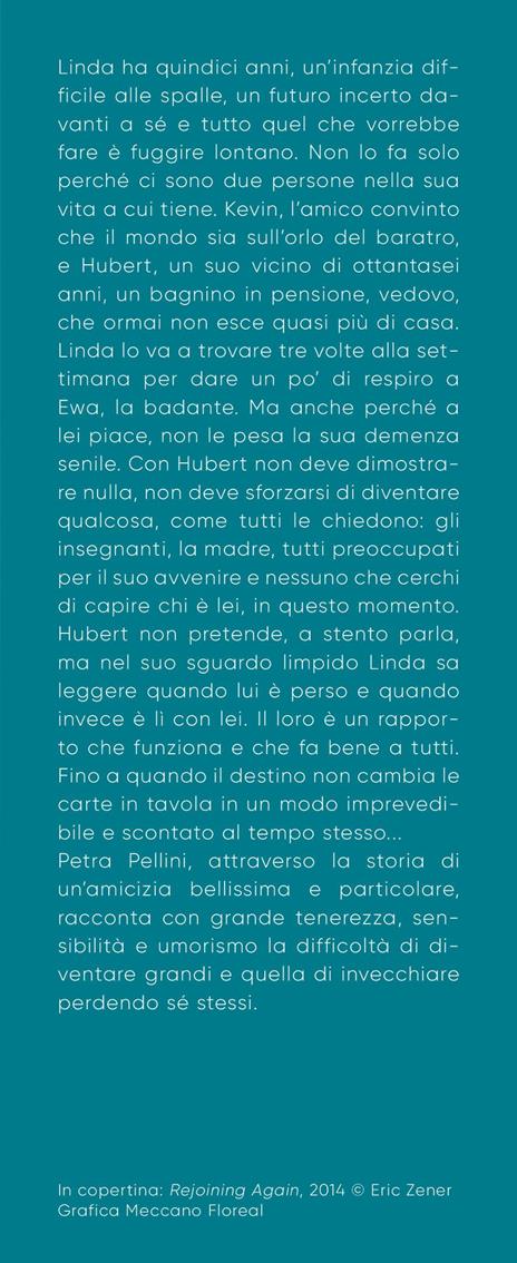 Quando scompare il cielo - Petra Pellini - 5