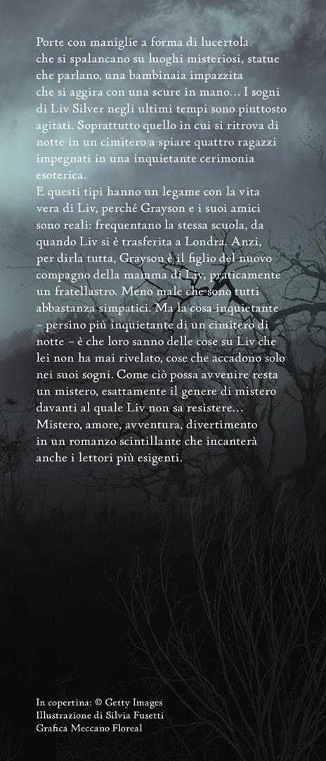 Silver. Il libro dei sogni - Kerstin Gier - 5