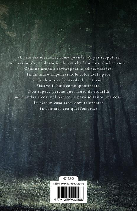 L'ultimo segreto. Silver. La trilogia dei sogni. Vol. 3 - Kerstin Gier - 2