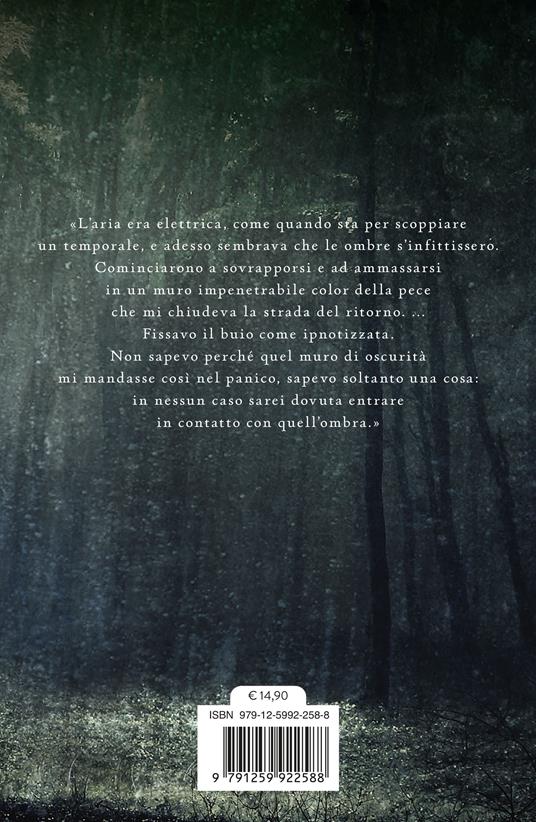 L'ultimo segreto. Silver. La trilogia dei sogni. Vol. 3 - Kerstin Gier - 2