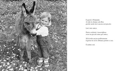 Il mio asinello Benjamin e io. Ediz. illustrata - Hans Limmer - 2