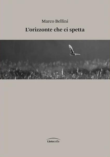 L'orizzonte che ci spetta - Marco Bellini - copertina