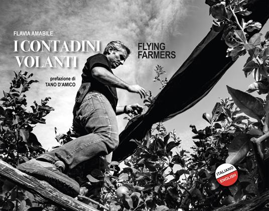 I contadini volanti-Flying farmers. Ediz. bilingue - Flavia Amabile - copertina