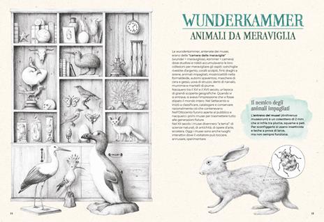 Estintopedia - Serenella Quarello - 4