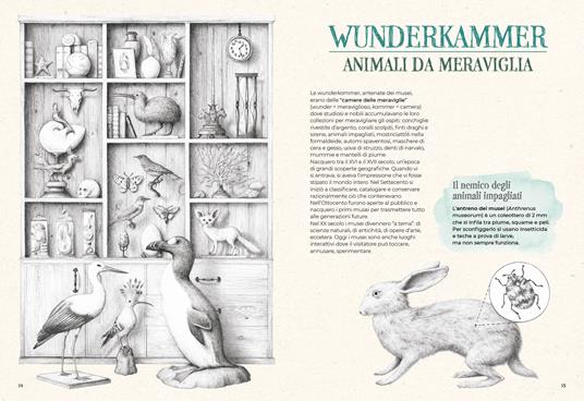 Estintopedia - Serenella Quarello - 4