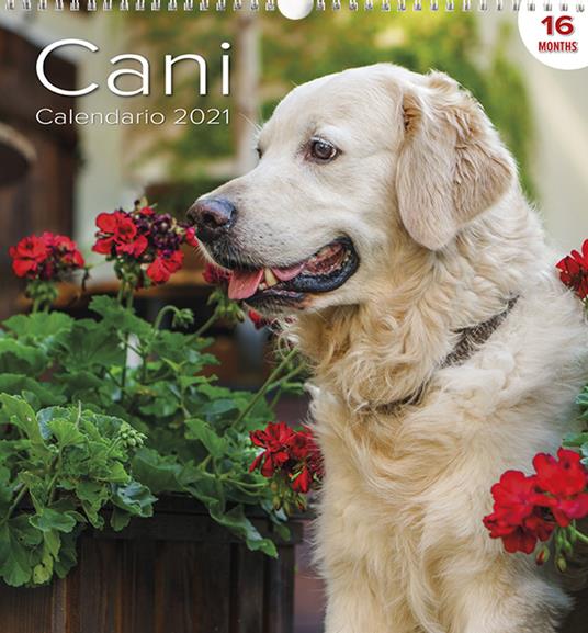 Calendario Grande Cani - copertina