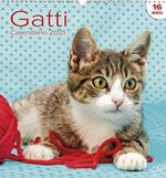 Calendario Grande Gatti