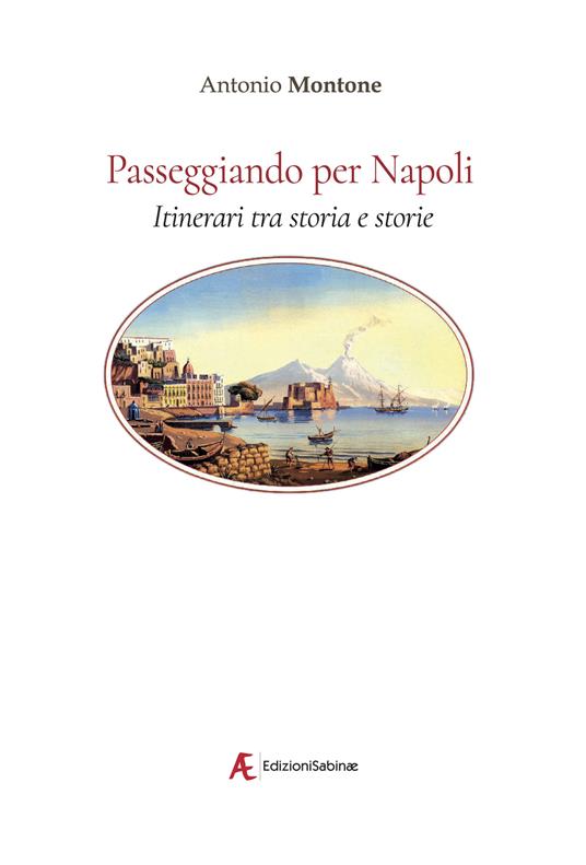 Passeggiando per Napoli. Itinerari tra storia e storie - Antonio Montone - copertina