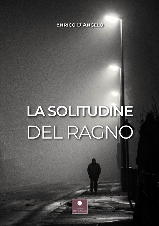 La solitudine del ragno - Enrico D'Angelo - copertina