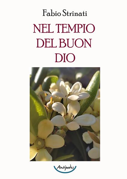 Nel tempio del buon Dio - Fabio Strinati - copertina