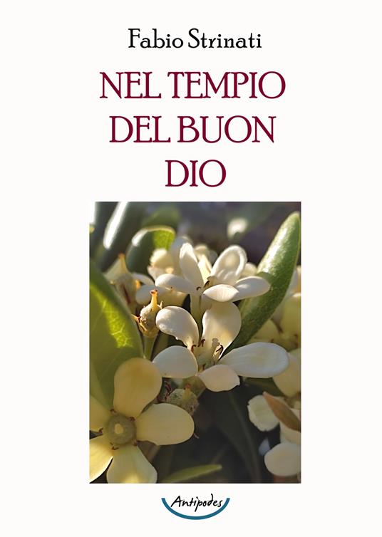 Nel tempio del buon Dio - Fabio Strinati - copertina