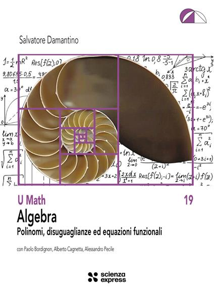 Algebra. Polinomi, disuguaglianze ed equazioni funzionali - Salvatore Damantino,Paolo Bordignon,Alberto Cagnetta - copertina