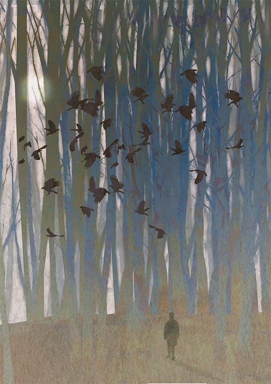 Di corvi e cornacchie. Ediz. a colori - Britta Teckentrup - 3