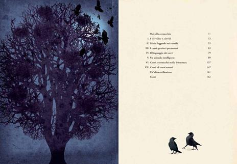 Di corvi e cornacchie. Ediz. a colori - Britta Teckentrup - 6