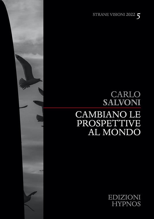 Cambiano le prospettive al mondo - Carlo Salvoni - ebook
