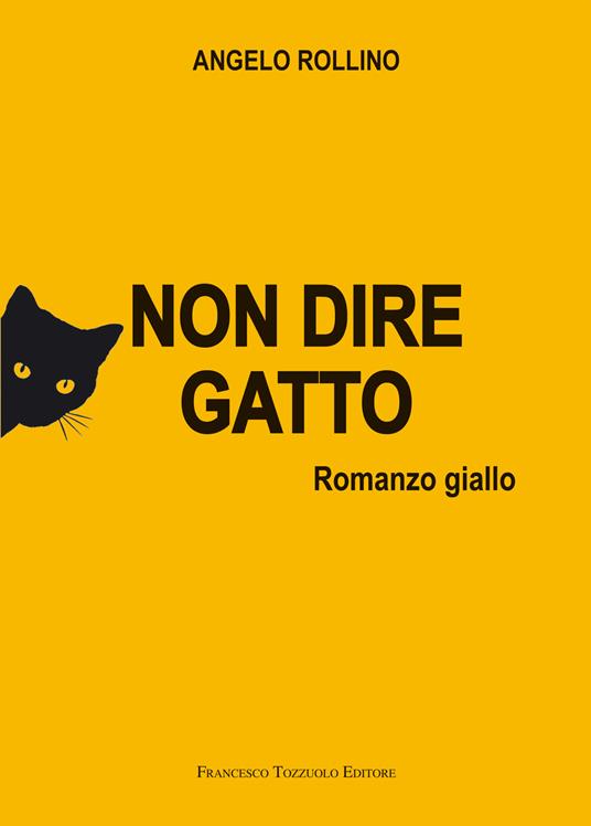 Non dire gatto - Angelo Rollino - copertina