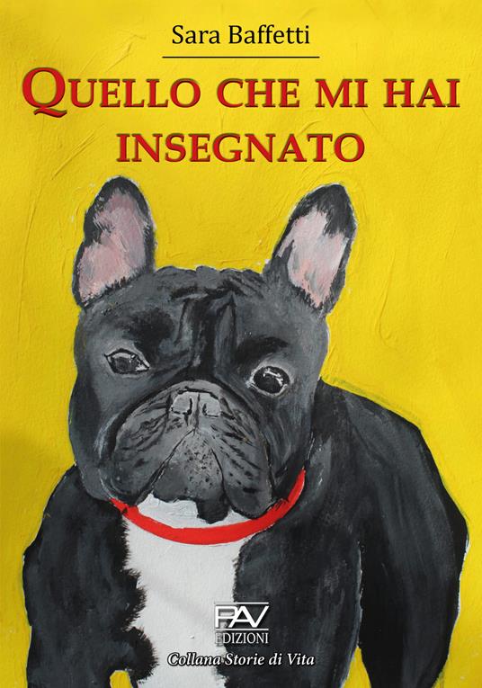 Quello che mi hai insegnato - Sara Baffetti - copertina